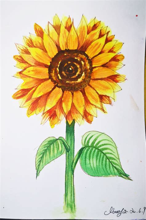 sunflower photography ideas|sunflower drawing no color.